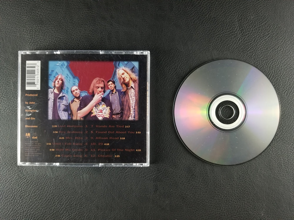 Gin Blossoms - New Miserable Experience (1992, CD)