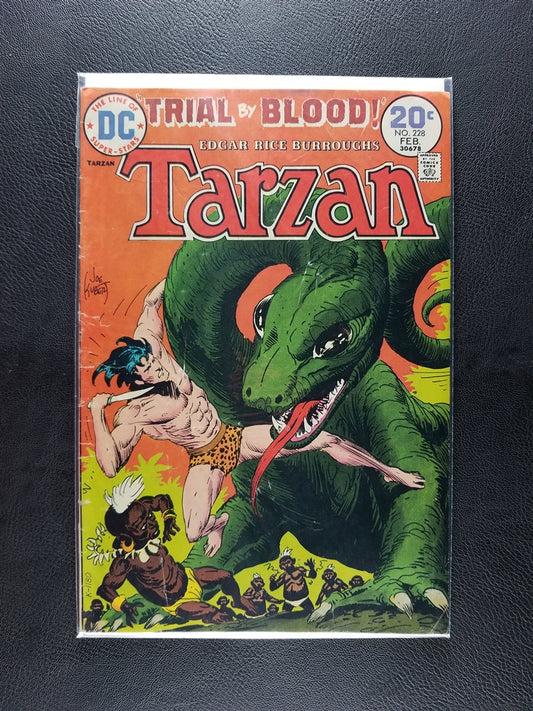 Tarzan [1972] #228 (DC, February 1974)