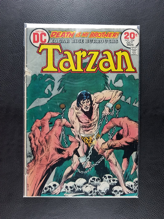 Tarzan [1972] #224 (DC, October 1973)