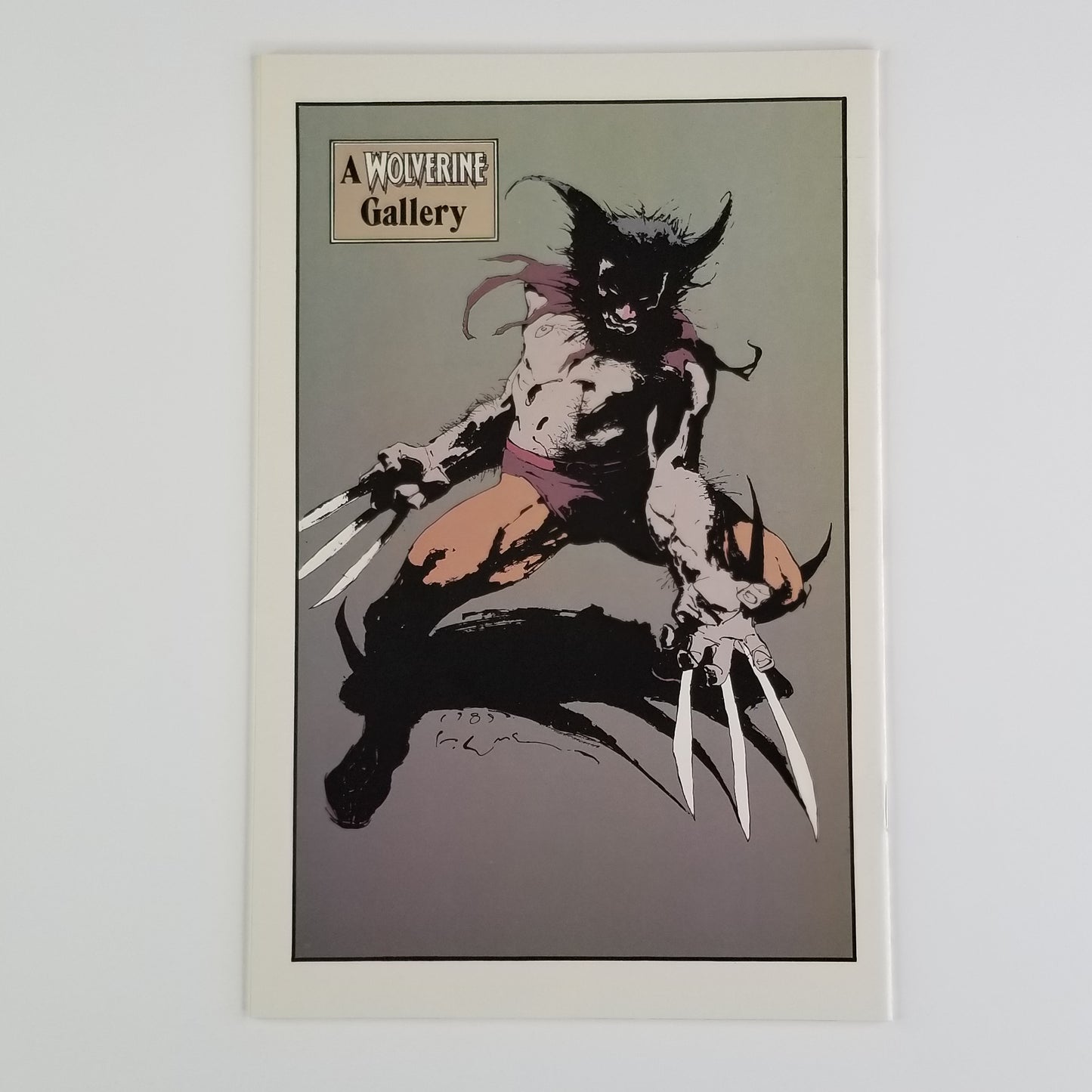 Wolverine (Marvel, 1988 1st Series) #10 Sabretooth