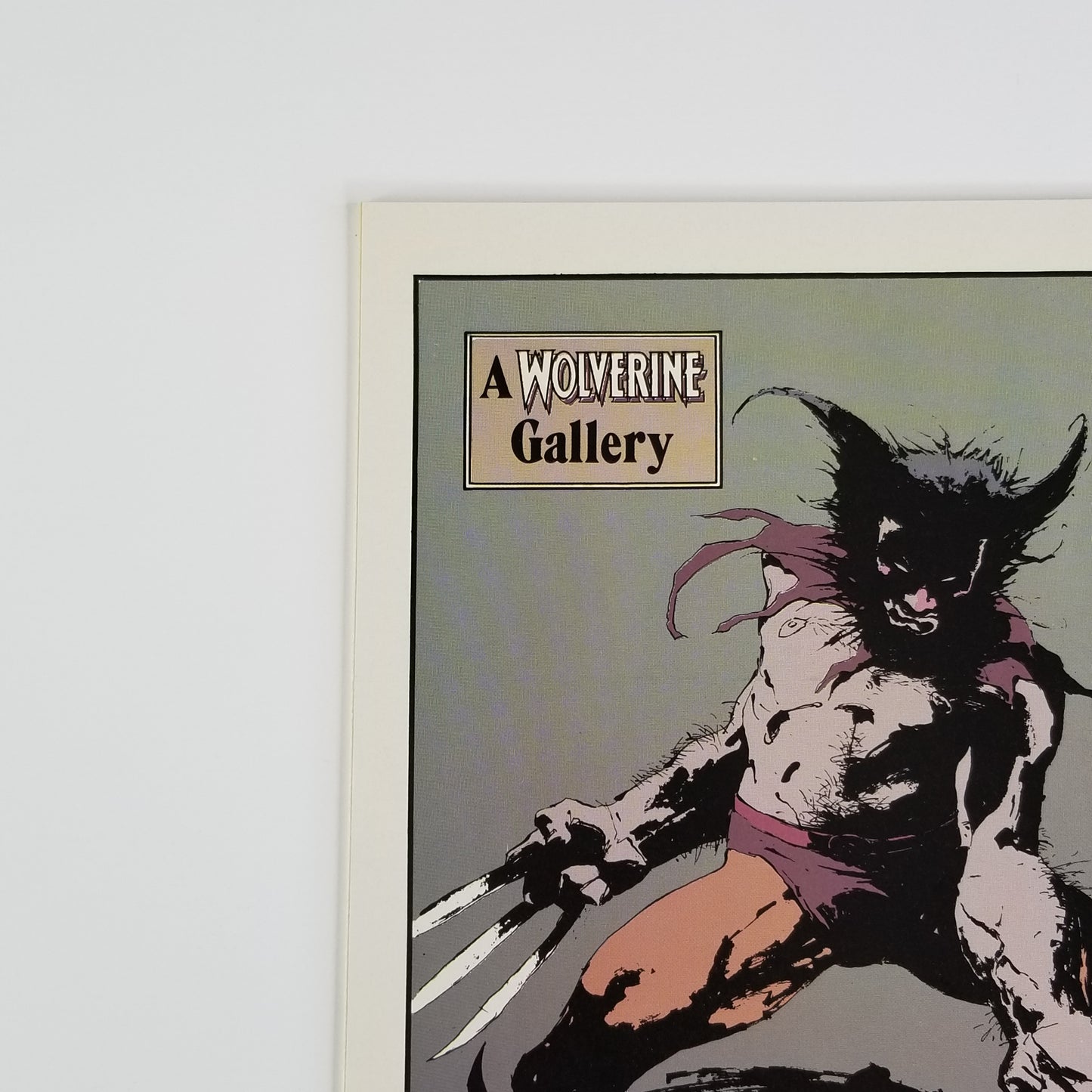 Wolverine (Marvel, 1988 1st Series) #10 Sabretooth