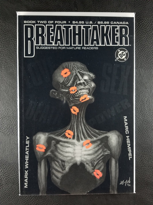 Breathtaker #2 (DC, August 1990)