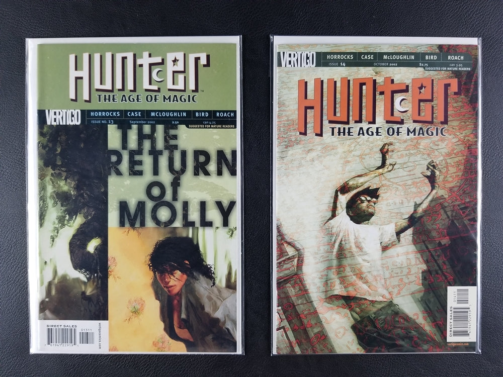 Hunter: The Age of Magic #11-20 Set (DC/Vertigo, 2002-03)