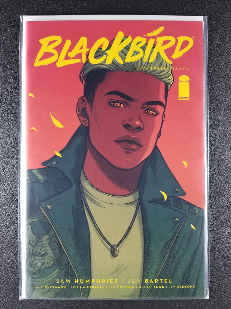 Blackbird #3A (Image, December 2018)