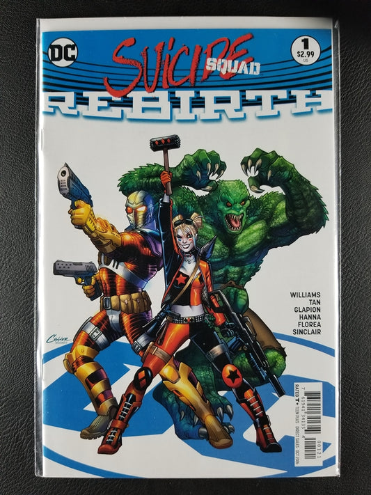 Suicide Squad: Rebirth #1B (DC, October 2016)