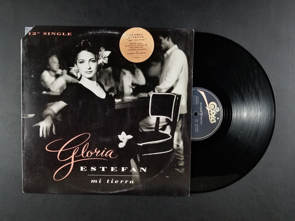 Gloria Estefan - Mi Tierra (1993, 12'' Single)