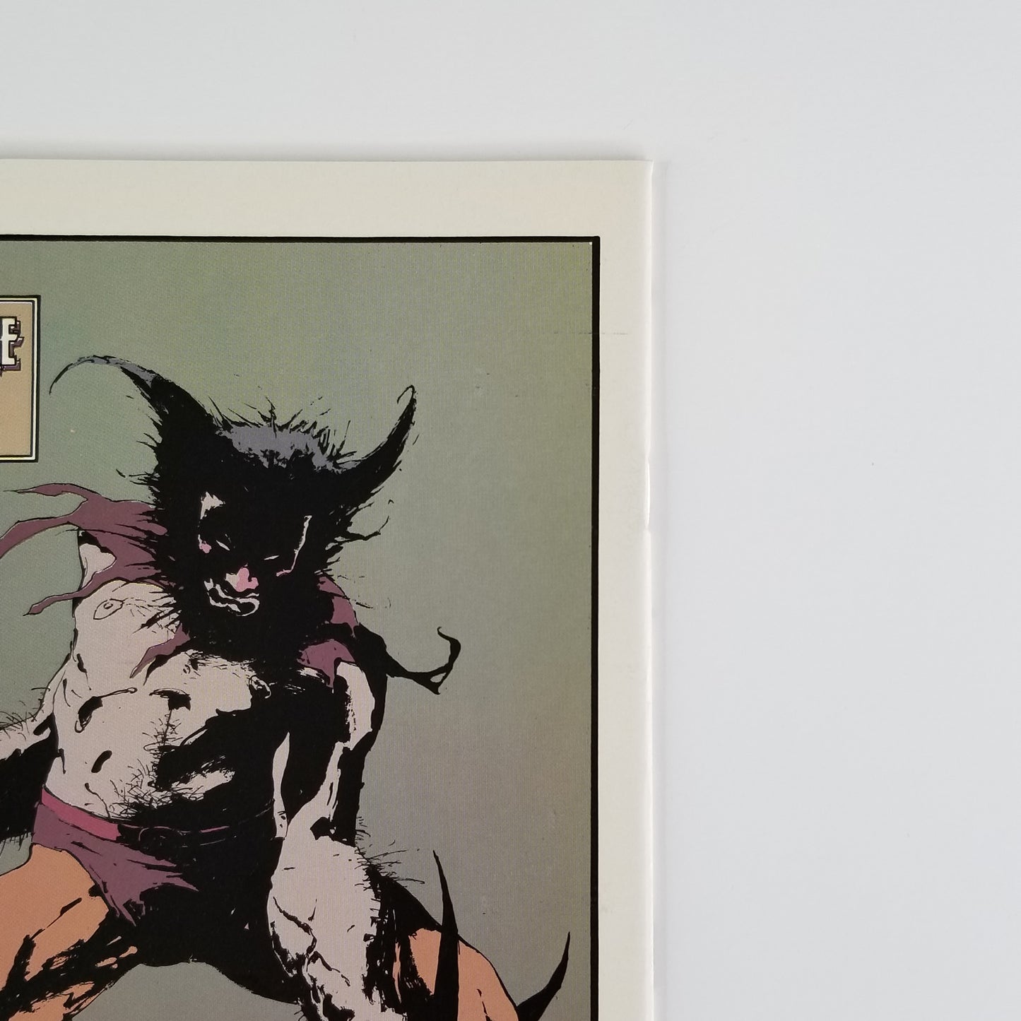 Wolverine (Marvel, 1988 1st Series) #10 Sabretooth