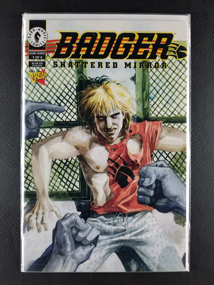 Badger: Shattered Mirror #1, 2, 3, 4 Set (Dark Horse, 1994)