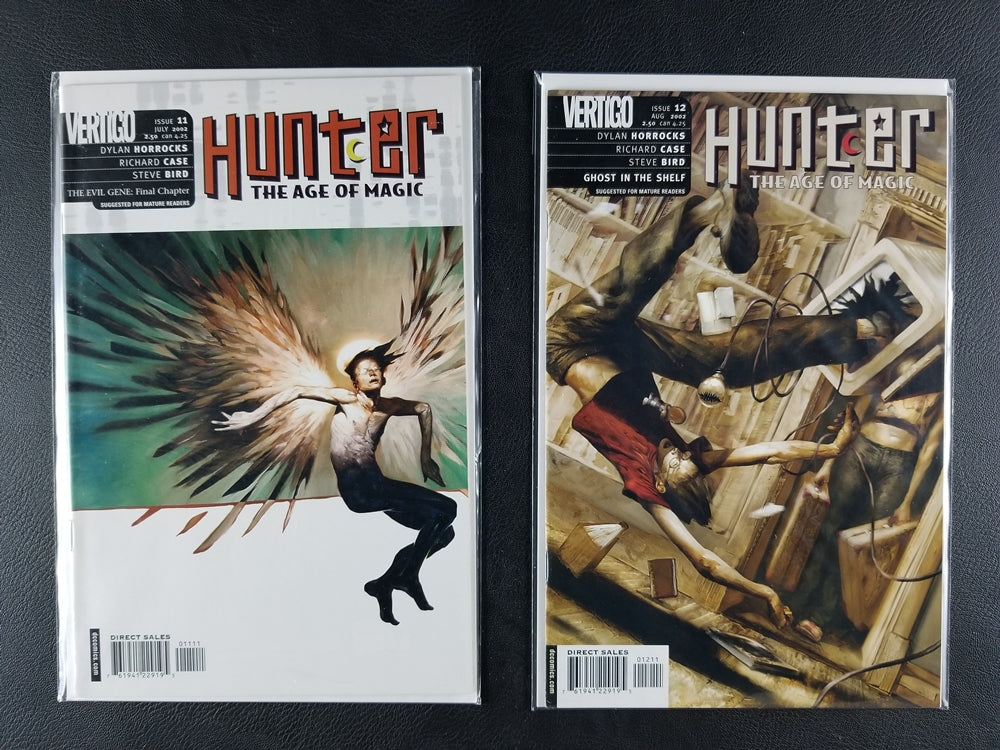 Hunter: The Age of Magic #11-20 Set (DC/Vertigo, 2002-03)