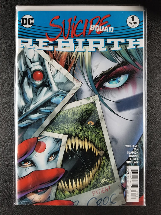 Suicide Squad: Rebirth #1A (DC, October 2016)