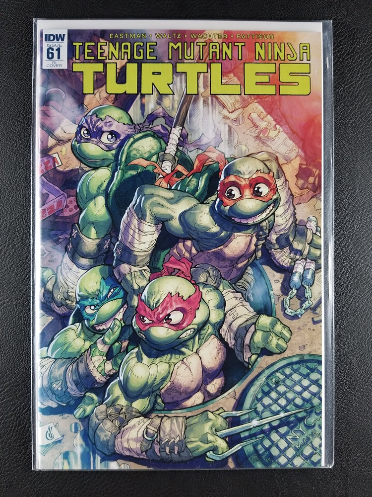 Teenage Mutant Ninja Turtles #61RI (IDW Publishing, August 2016)