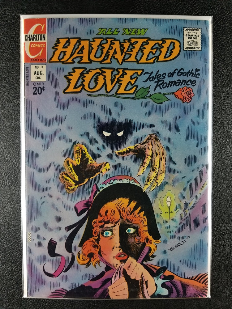 Haunted Love #3 (Charlton Comics Group, August 1973)