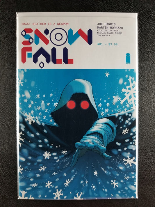 Snowfall #1 (Image, February 2016)