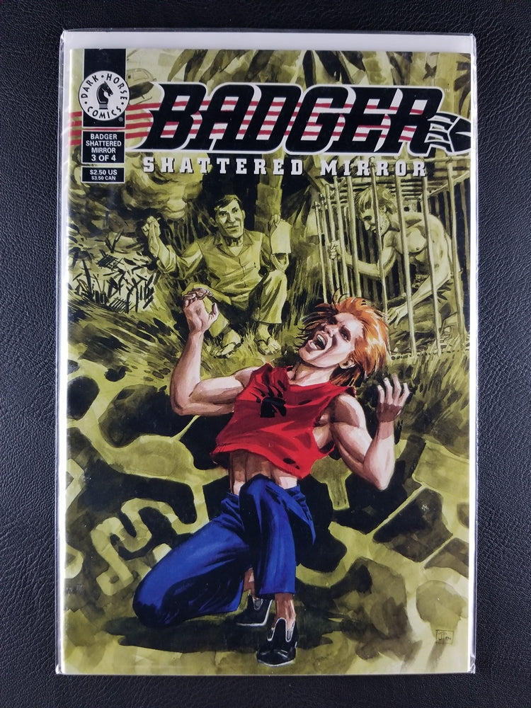 Badger: Shattered Mirror #1, 2, 3, 4 Set (Dark Horse, 1994)