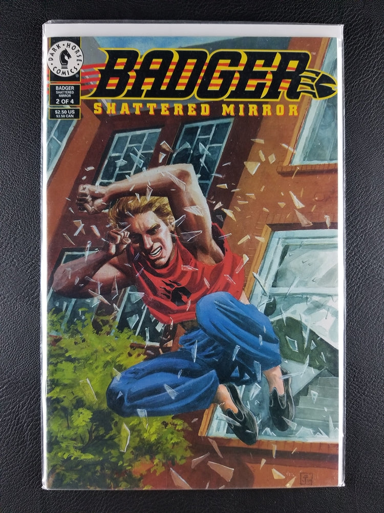 Badger: Shattered Mirror #1, 2, 3, 4 Set (Dark Horse, 1994)