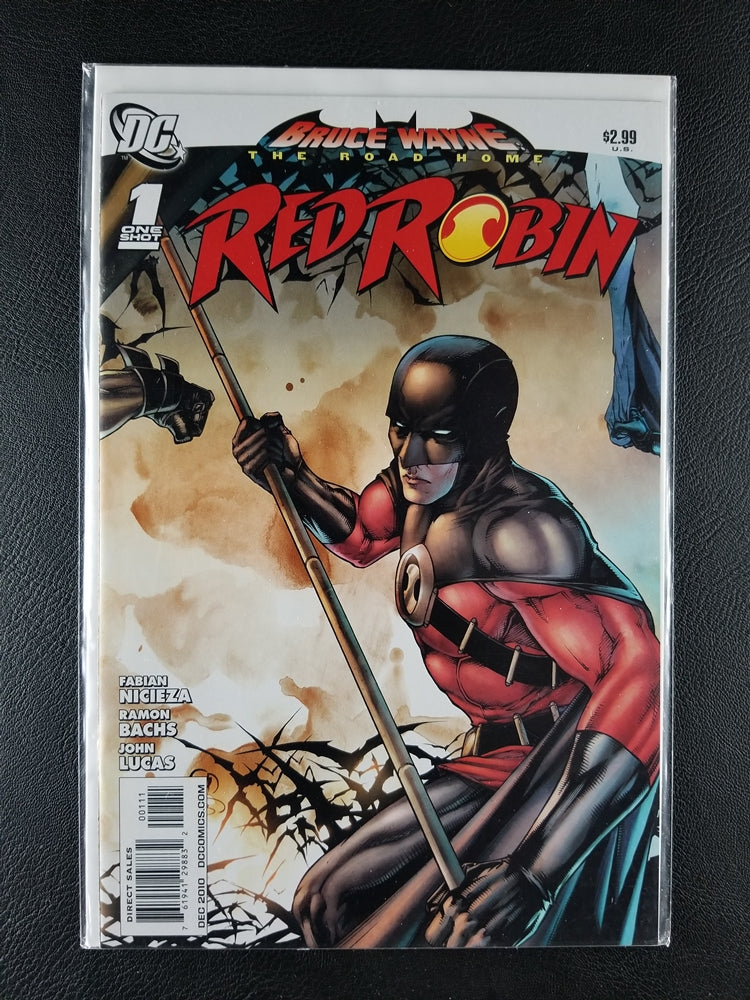 Bruce Wayne: The Road Home: Red Robin (DC, December 2010)