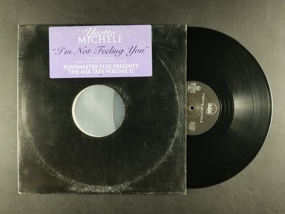 Yvette Michele - I'm Not Feeling You (1996, 12'' Single) [Promo]