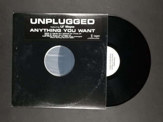 Unplugged - Anything You Want (2001, 12'' Single) [Promo]